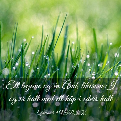 Picture 03 - Efeserne 4:4 NORSK - Ett legeme og én Ånd, likesom I og er kalt med - Bible Verse Picture