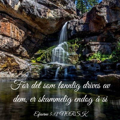 Picture 03 - Efeserne 5:12 NORSK - For det som lønnlig drives av dem, er skammelig - Bible Verse Picture