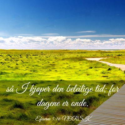 Picture 03 - Efeserne 5:16 NORSK - så I kjøper den beleilige tid; for dagene er - Bible Verse Picture