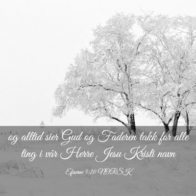 Picture 03 - Efeserne 5:20 NORSK - og alltid sier Gud og Faderen takk for alle ting - Bible Verse Picture