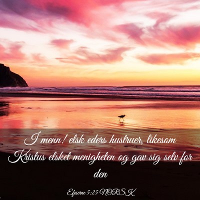 Picture 03 - Efeserne 5:25 NORSK - I menn! elsk eders hustruer, likesom Kristus - Bible Verse Picture