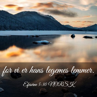 Picture 03 - Efeserne 5:30 NORSK - for vi er hans legemes - Bible Verse Picture