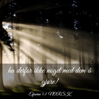 Picture 03 - Efeserne 5:7 NORSK - ha derfor ikke noget med dem å - Bible Verse Picture