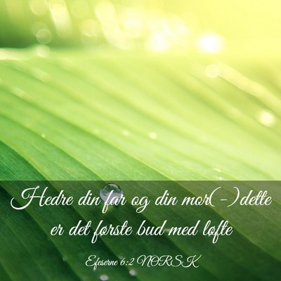Picture 03 - Efeserne 6:2 NORSK - Hedre din far og din mor(-)dette er det første - Bible Verse Picture