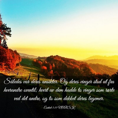 Picture 03 - Esekiel 1:11 NORSK - Således var deres ansikter. Og deres vinger stod - Bible Verse Picture