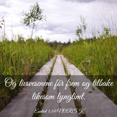 Picture 03 - Esekiel 1:14 NORSK - Og livsvesenene fór frem og tilbake likesom - Bible Verse Picture