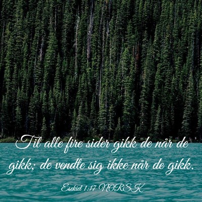 Picture 03 - Esekiel 1:17 NORSK - Til alle fire sider gikk de når de gikk; de - Bible Verse Picture