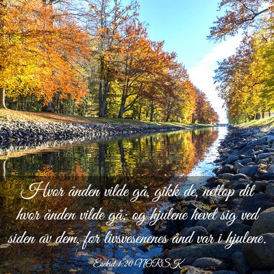 Picture 03 - Esekiel 1:20 NORSK - Hvor ånden vilde gå, gikk de, nettop dit hvor - Bible Verse Picture