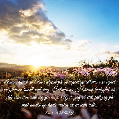 Picture 03 - Esekiel 1:28 NORSK - likesom synet av buen i skyen på en regndag, - Bible Verse Picture