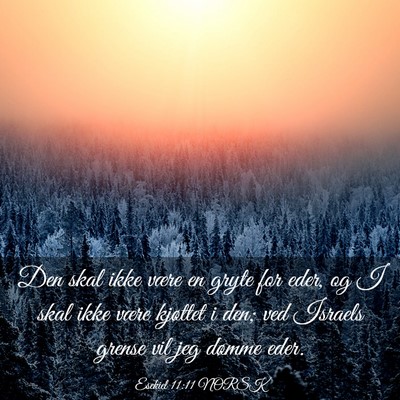 Picture 03 - Esekiel 11:11 NORSK - Den skal ikke være en gryte for eder, og I skal - Bible Verse Picture