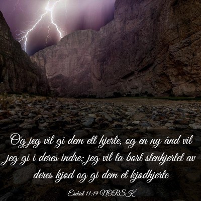 Picture 03 - Esekiel 11:19 NORSK - Og jeg vil gi dem ett hjerte, og en ny ånd vil - Bible Verse Picture