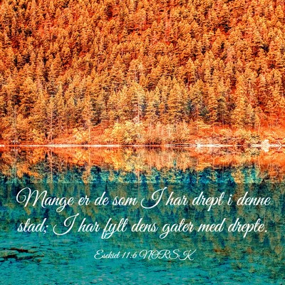 Picture 03 - Esekiel 11:6 NORSK - Mange er de som I har drept i denne stad; I har - Bible Verse Picture