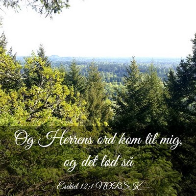 Picture 03 - Esekiel 12:1 NORSK - Og Herrens ord kom til mig, og det lød - Bible Verse Picture