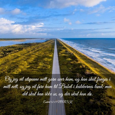 Picture 03 - Esekiel 12:13 NORSK - Og jeg vil utspenne mitt garn over ham, og han - Bible Verse Picture