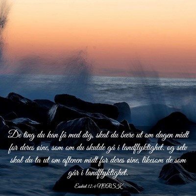 Picture 03 - Esekiel 12:4 NORSK - De ting du kan få med dig, skal du bære ut om - Bible Verse Picture