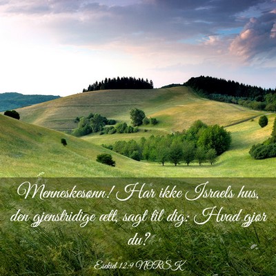 Picture 03 - Esekiel 12:9 NORSK - Menneskesønn! Har ikke Israels hus, den - Bible Verse Picture
