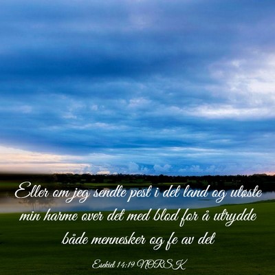 Picture 03 - Esekiel 14:19 NORSK - Eller om jeg sendte pest i det land og utøste - Bible Verse Picture