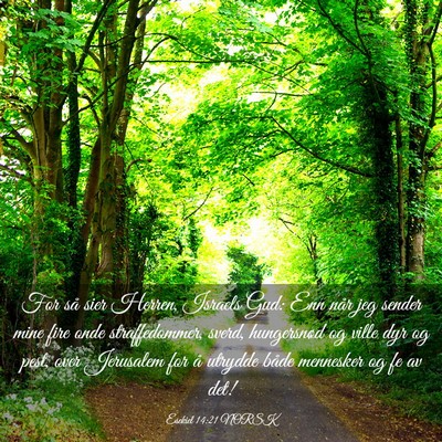 Picture 03 - Esekiel 14:21 NORSK - For så sier Herren, Israels Gud: Enn når jeg - Bible Verse Picture