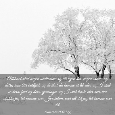 Picture 03 - Esekiel 14:22 NORSK - Allikevel skal nogen undkomme og bli igjen der, - Bible Verse Picture