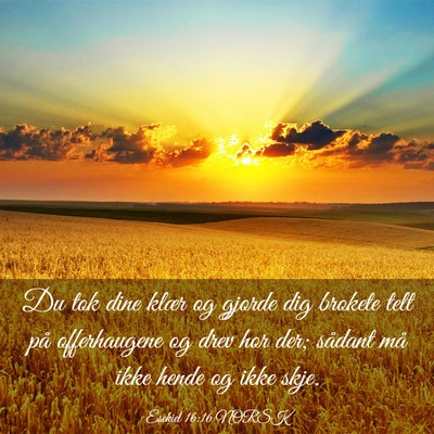 Picture 03 - Esekiel 16:16 NORSK - Du tok dine klær og gjorde dig brokete telt på - Bible Verse Picture
