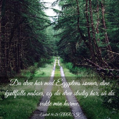Picture 03 - Esekiel 16:26 NORSK - Du drev hor med Egyptens sønner, dine - Bible Verse Picture