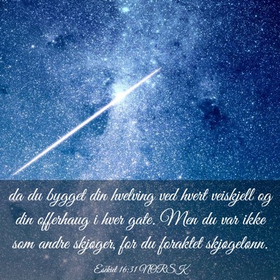 Picture 03 - Esekiel 16:31 NORSK - da du bygget din hvelving ved hvert veiskjell og - Bible Verse Picture