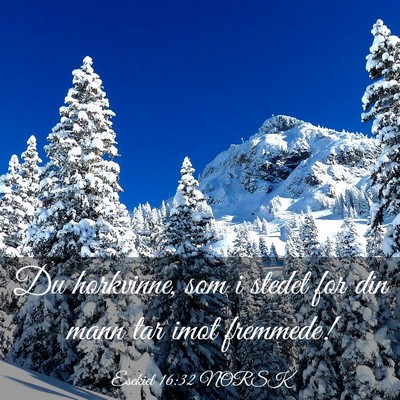 Picture 03 - Esekiel 16:32 NORSK - Du horkvinne, som i stedet for din mann tar imot - Bible Verse Picture