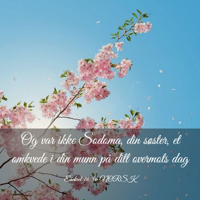 Picture 03 - Esekiel 16:56 NORSK - Og var ikke Sodoma, din søster, et omkvede i din - Bible Verse Picture
