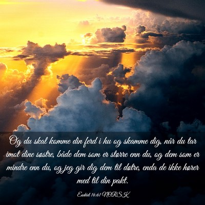 Picture 03 - Esekiel 16:61 NORSK - Og du skal komme din ferd i hu og skamme dig, - Bible Verse Picture