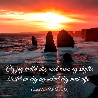 Picture 03 - Esekiel 16:9 NORSK - Og jeg tvettet dig med vann og skylte blodet av - Bible Verse Picture