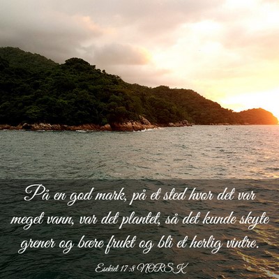Picture 03 - Esekiel 17:8 NORSK - På en god mark, på et sted hvor det var meget - Bible Verse Picture