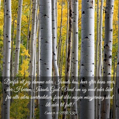 Picture 03 - Esekiel 18:30 NORSK - Derfor vil jeg dømme eder, Israels hus, hver - Bible Verse Picture