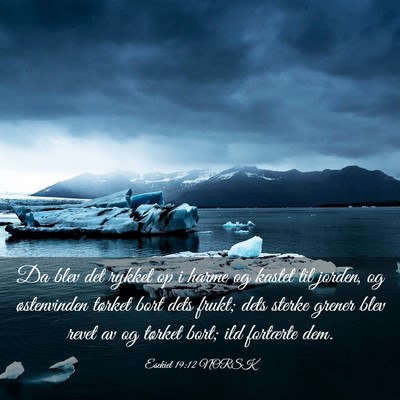 Picture 03 - Esekiel 19:12 NORSK - Da blev det rykket op i harme og kastet til - Bible Verse Picture