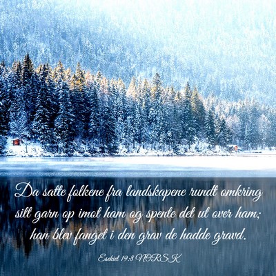 Picture 03 - Esekiel 19:8 NORSK - Da satte folkene fra landskapene rundt omkring - Bible Verse Picture