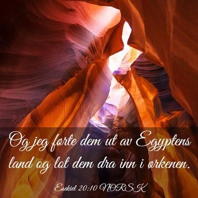 Picture 03 - Esekiel 20:10 NORSK - Og jeg førte dem ut av Egyptens land og lot dem - Bible Verse Picture