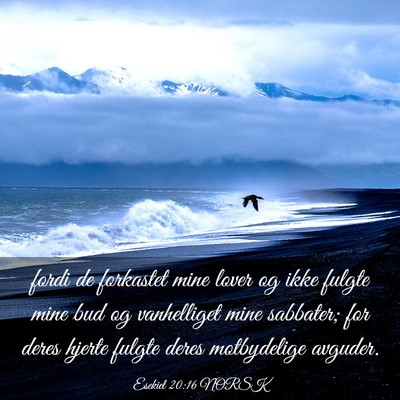 Picture 03 - Esekiel 20:16 NORSK - fordi de forkastet mine lover og ikke fulgte mine - Bible Verse Picture