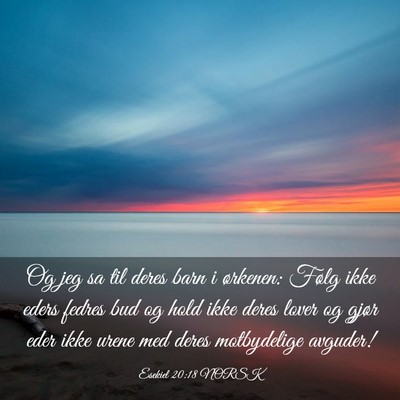 Picture 03 - Esekiel 20:18 NORSK - Og jeg sa til deres barn i ørkenen: Følg ikke - Bible Verse Picture