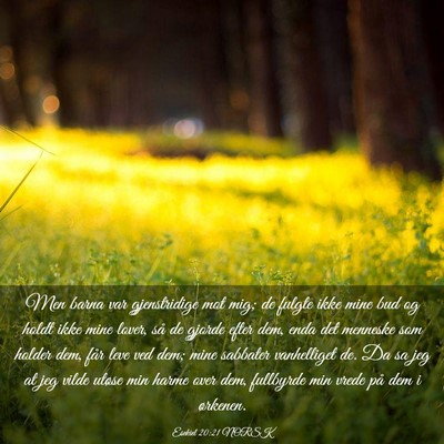 Picture 03 - Esekiel 20:21 NORSK - Men barna var gjenstridige mot mig; de fulgte - Bible Verse Picture