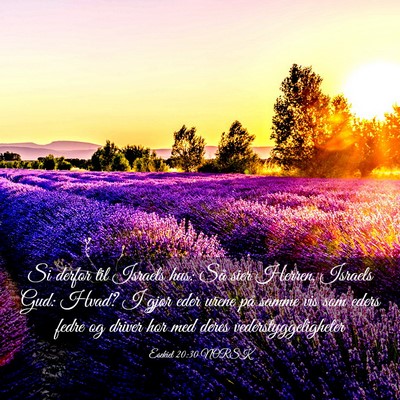 Picture 03 - Esekiel 20:30 NORSK - Si derfor til Israels hus: Så sier Herren, - Bible Verse Picture