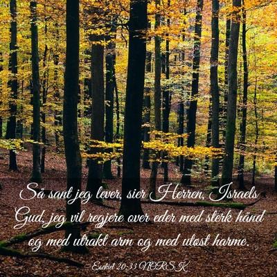 Picture 03 - Esekiel 20:33 NORSK - Så sant jeg lever, sier Herren, Israels Gud, jeg - Bible Verse Picture