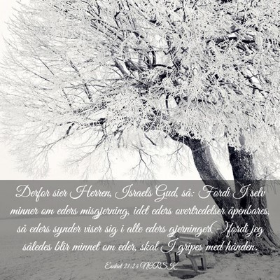 Picture 03 - Esekiel 21:24 NORSK - Derfor sier Herren, Israels Gud, så: Fordi I - Bible Verse Picture