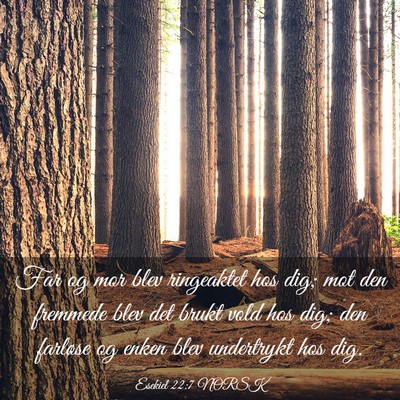 Picture 03 - Esekiel 22:7 NORSK - Far og mor blev ringeaktet hos dig; mot den - Bible Verse Picture