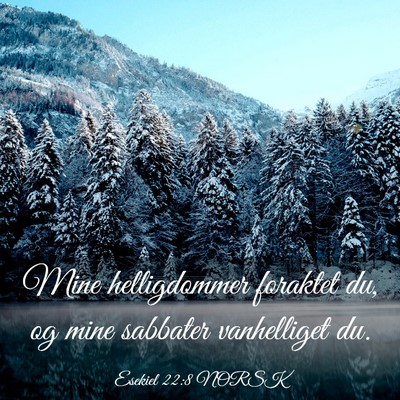 Picture 03 - Esekiel 22:8 NORSK - Mine helligdommer foraktet du, og mine sabbater - Bible Verse Picture