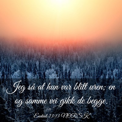 Picture 03 - Esekiel 23:13 NORSK - Jeg så at hun var blitt uren; en og samme vei - Bible Verse Picture