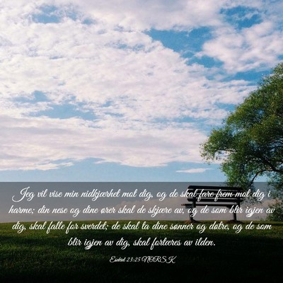 Picture 03 - Esekiel 23:25 NORSK - Jeg vil vise min nidkjærhet mot dig, og de skal - Bible Verse Picture