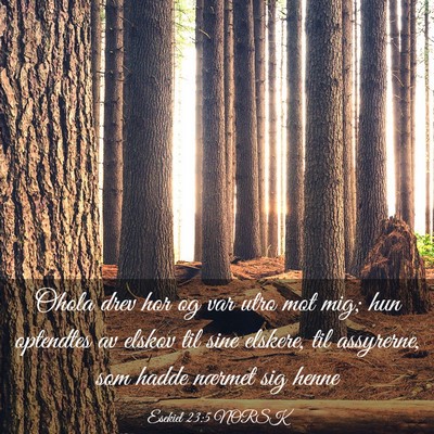 Picture 03 - Esekiel 23:5 NORSK - Ohola drev hor og var utro mot mig; hun optendtes - Bible Verse Picture