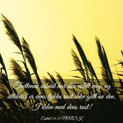 Picture 03 - Esekiel 24:12 NORSK - Trettende arbeid har den voldt mig, og allikevel - Bible Verse Picture