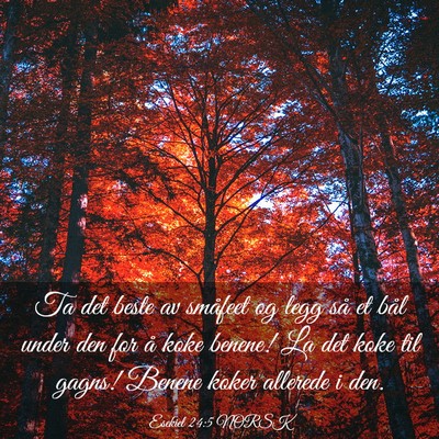 Picture 03 - Esekiel 24:5 NORSK - Ta det beste av småfeet og legg så et bål - Bible Verse Picture