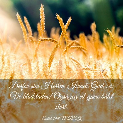 Picture 03 - Esekiel 24:9 NORSK - Derfor sier Herren, Israels Gud, så: Ve - Bible Verse Picture
