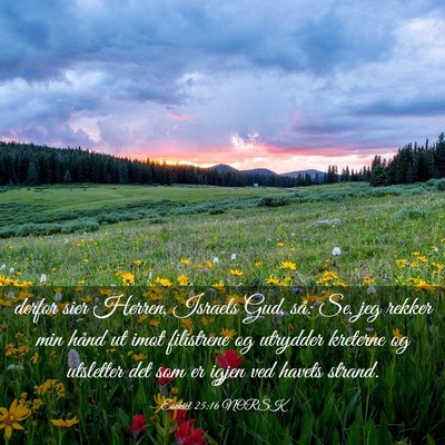 Picture 03 - Esekiel 25:16 NORSK - derfor sier Herren, Israels Gud, så: Se, jeg - Bible Verse Picture